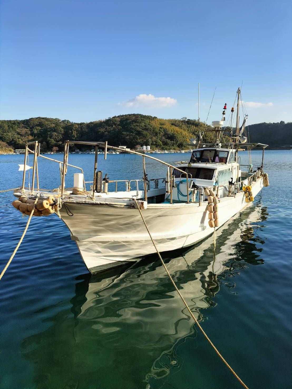 幸真丸 1枚目の画像