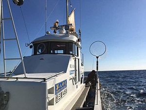 幸丸です。 第八幸丸／青森県の予約可能な船釣りプラン・料金案内-24h受付でお得に