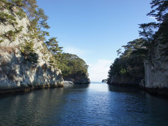 釣船きむら 3枚目の画像