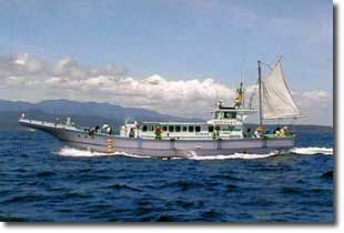 若宮丸／静岡県の予約可能な船釣りプラン・料金案内-24h受付でお得に