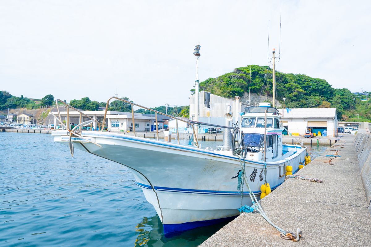 育丸／神奈川県の予約可能な船釣りプラン・料金案内-24h受付でお