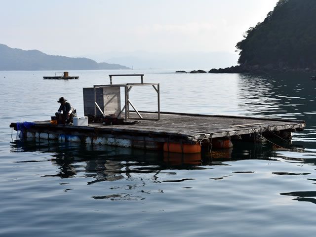 坂田渡船 1枚目の画像