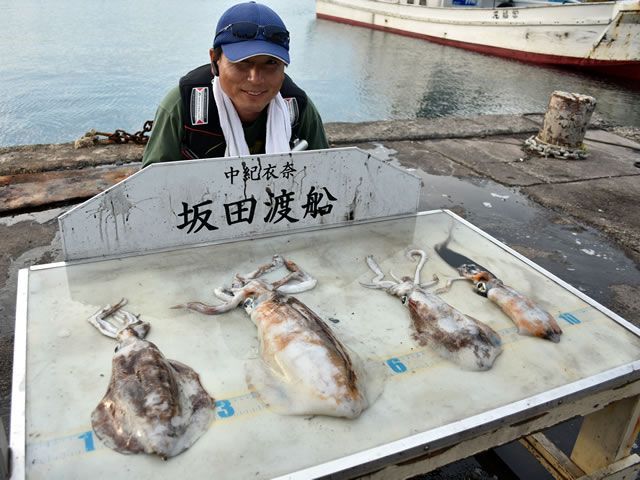 坂田渡船 4枚目の画像