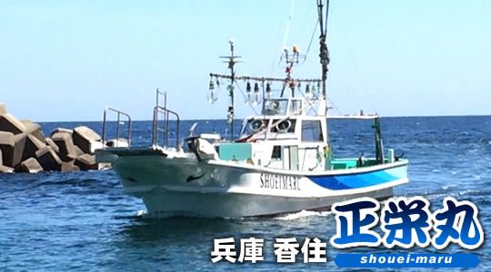 正栄丸／兵庫県の予約可能な船釣りプラン・料金案内-24h受付でお得に