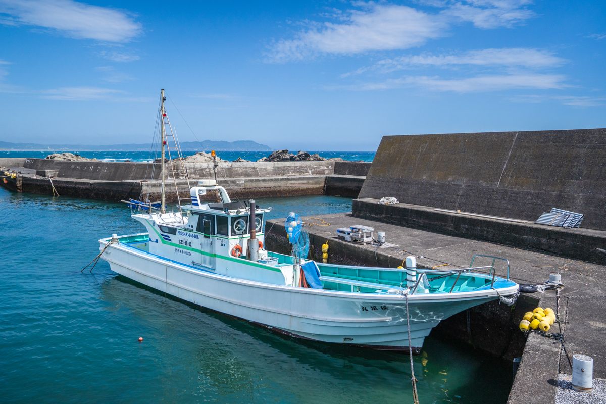 保坂丸（民宿ほさか）／千葉県の予約可能な船釣りプラン・料金