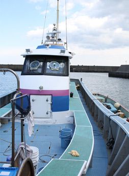 【めいこぶ】丸干し　はるか3キロ　シルク1キロ 干し芋丸干し（紅はるか）1kg 丸干し芋 1キロ 1000g スイーツ