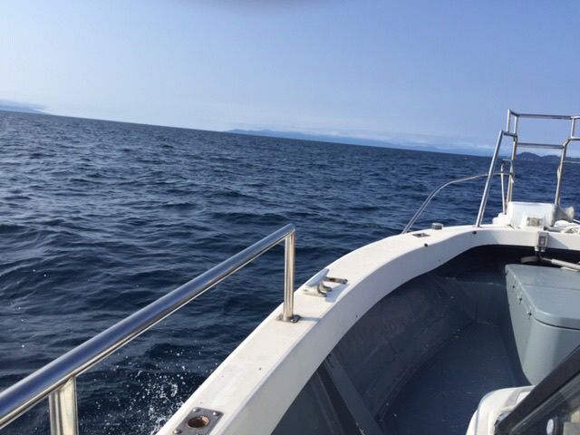 青森釣り船 轟天／青森県の予約可能な船釣りプラン・料金案内-24h受付