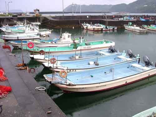 神野渡船 神漁丸 1枚目の画像