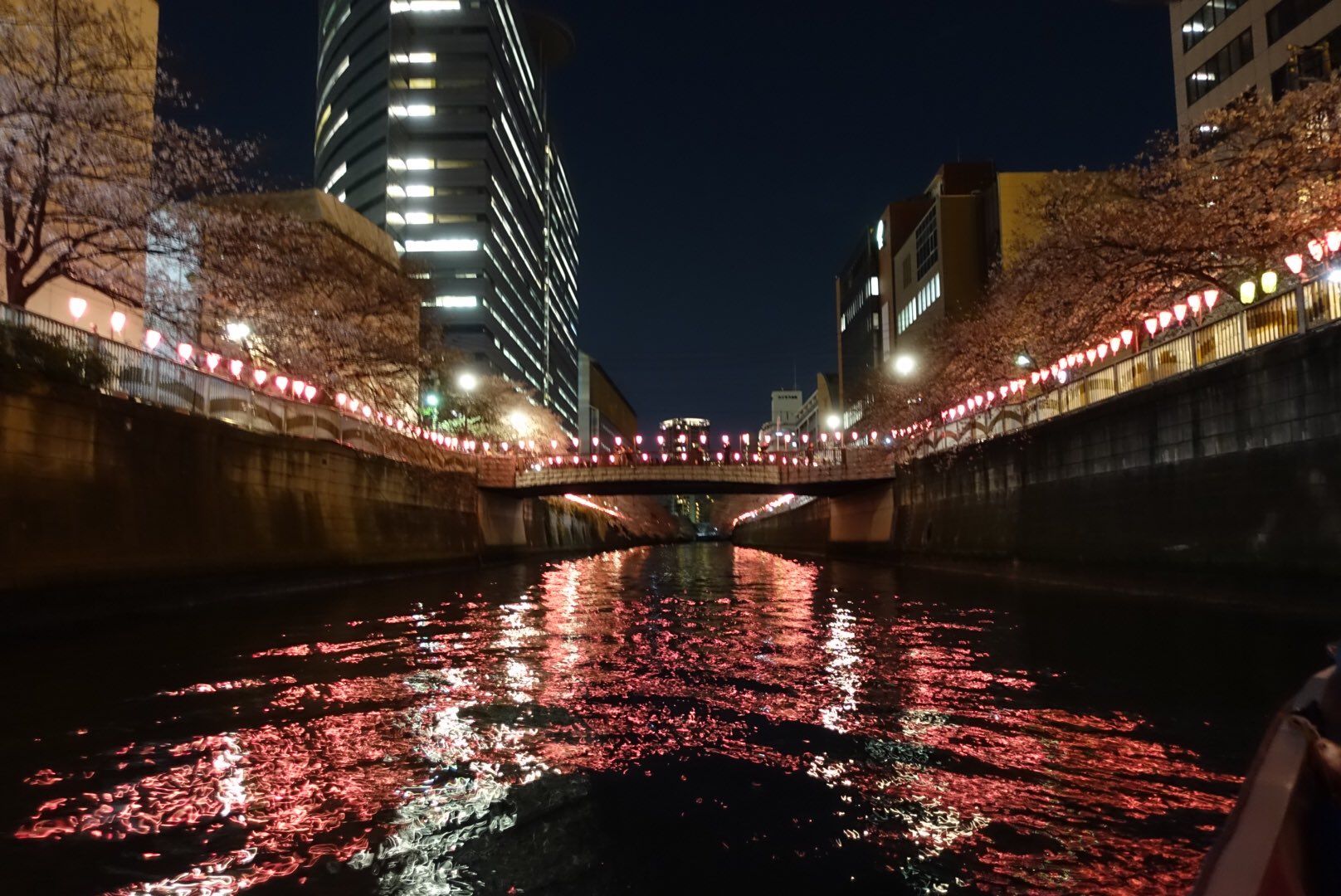 船宿 西野屋／東京都の予約可能な船釣りプラン・料金案内-24h受付でお