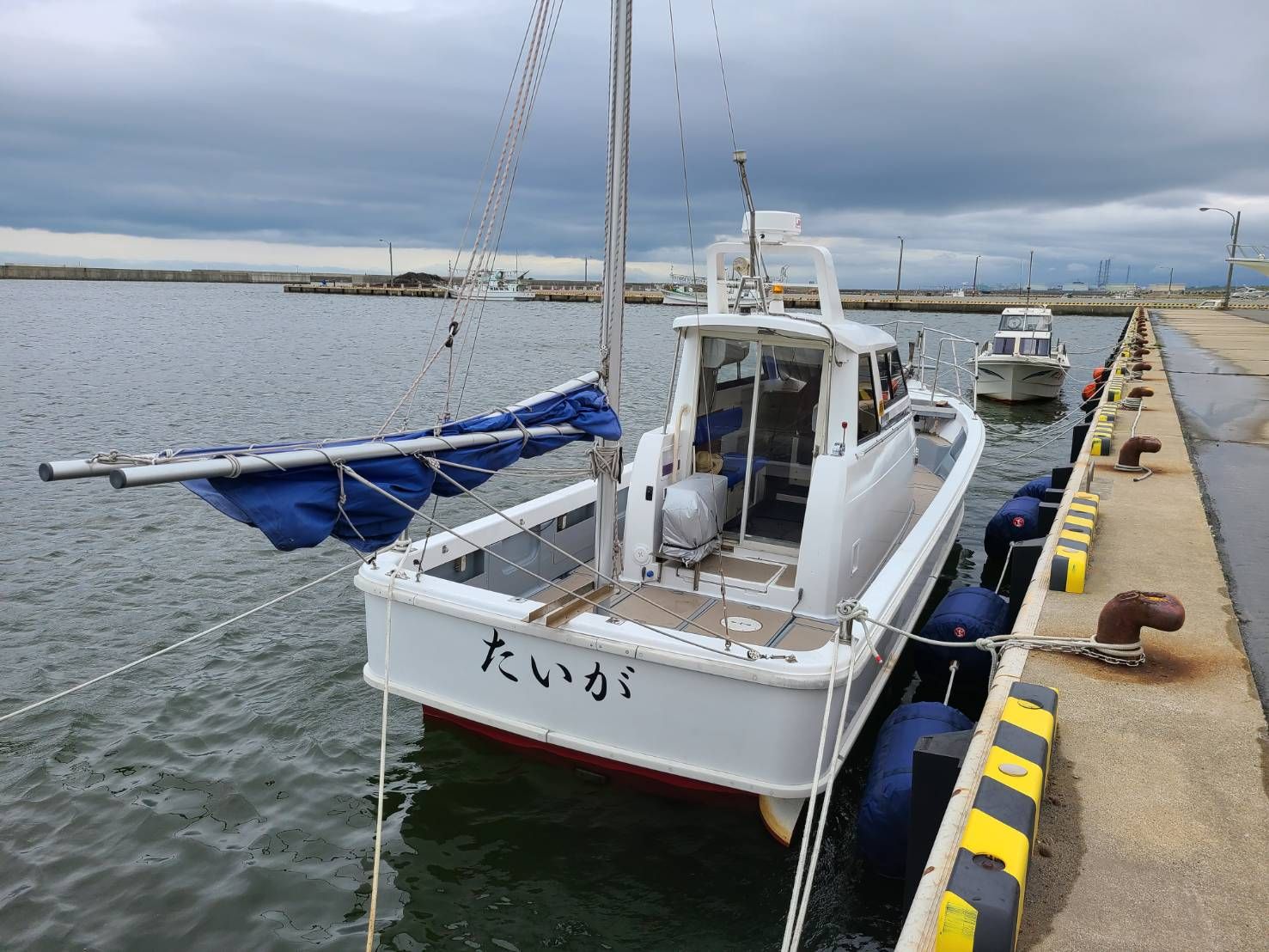 たいが／新潟県の予約可能な船釣りプラン・料金案内-24h受付でお得に