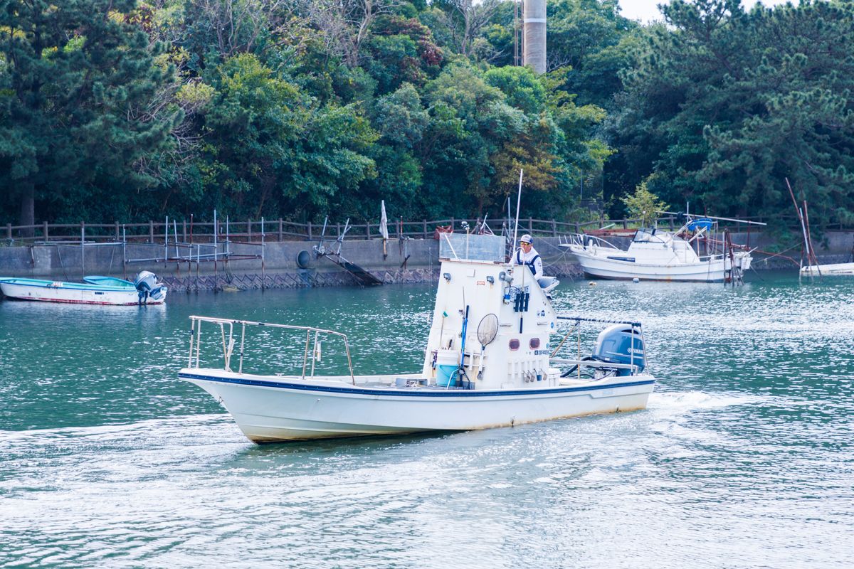 トランスジャパン／千葉県の予約可能な船釣りプラン・料金案内-24h受付でお得に乗船！ - アングラーズ釣船予約