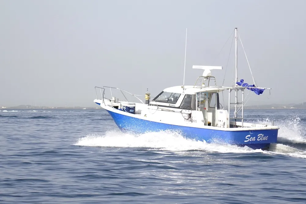 シーブルー 2枚目の画像