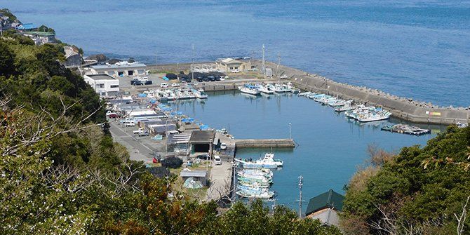 鳥羽フィッシュハンター 3枚目の画像