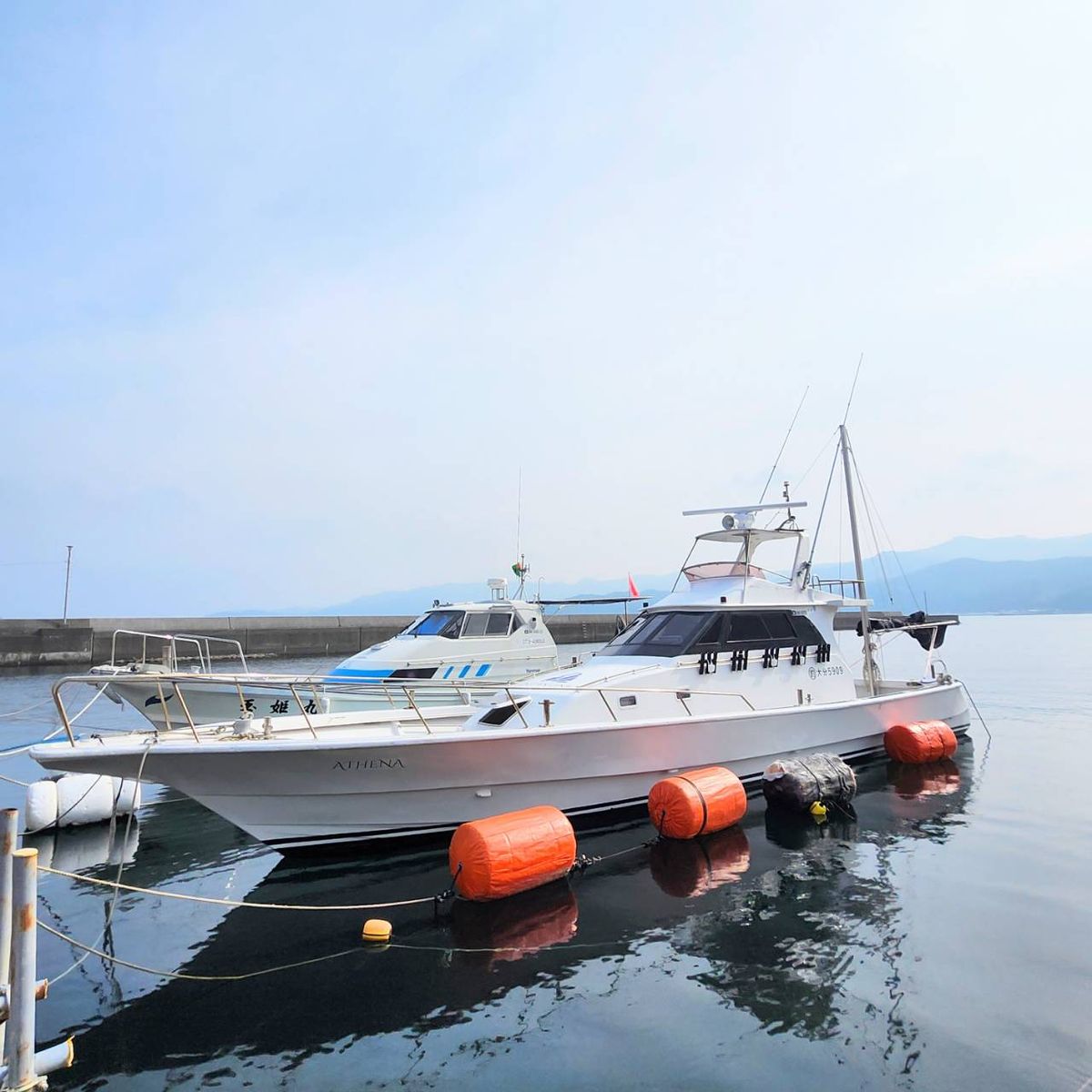 OCEAN LINK 1枚目の画像