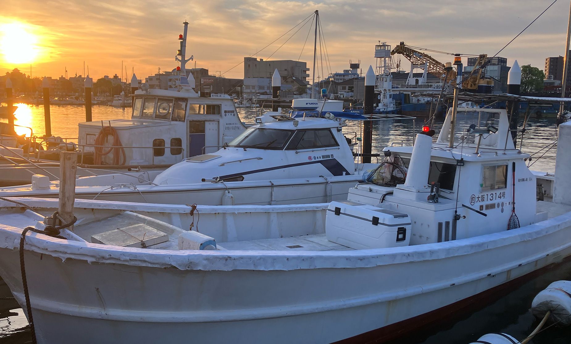 c818e608-cce1-486f-aec7-