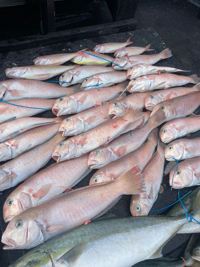 MCL 5枚目の画像