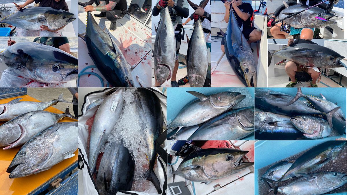 遊漁船R's 1枚目の画像