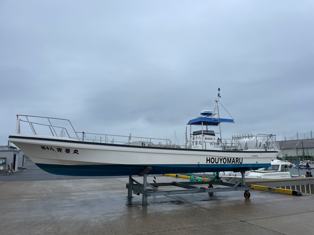 第十八寳要丸 1枚目の画像