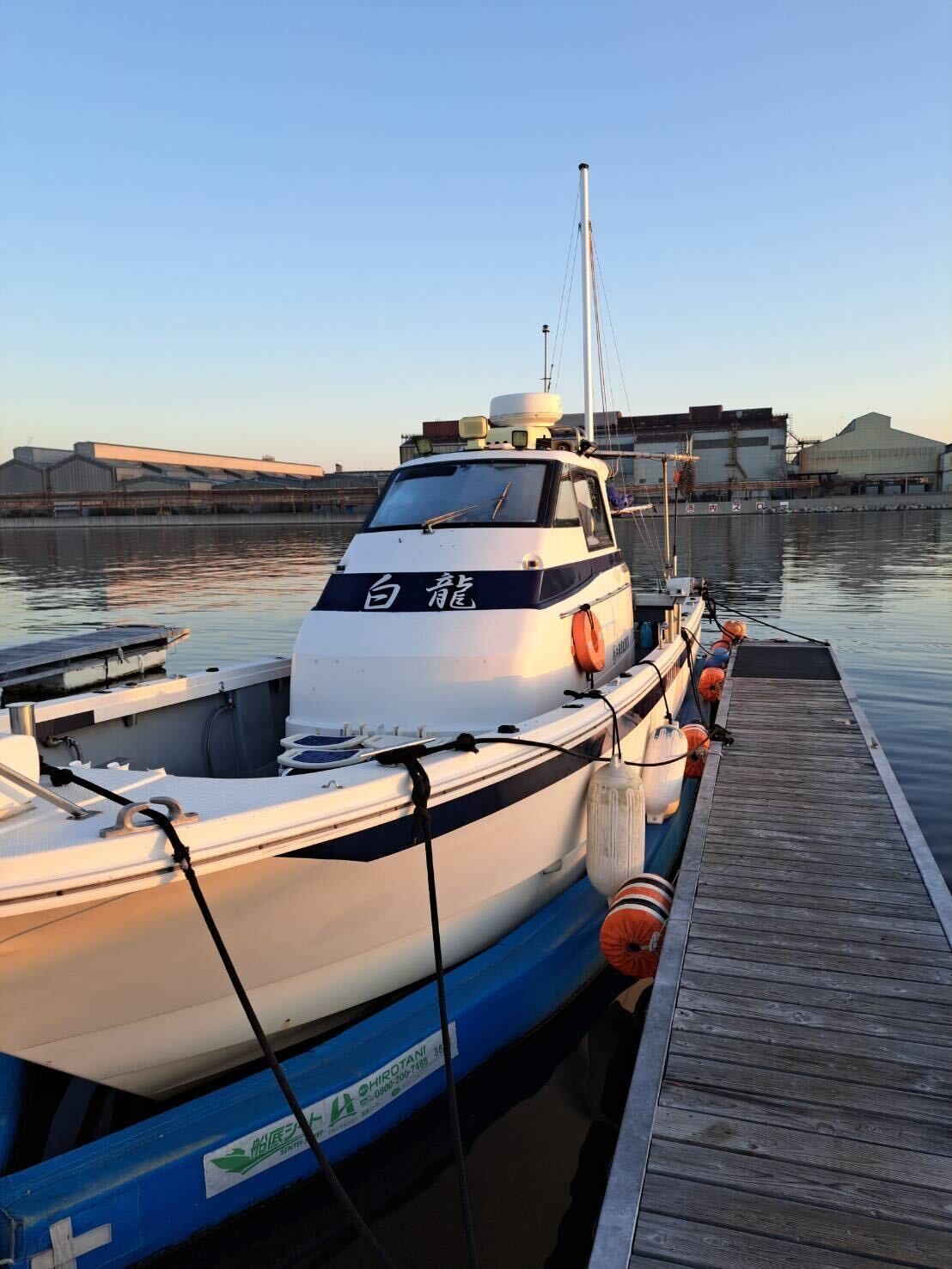 白龍 2枚目の画像