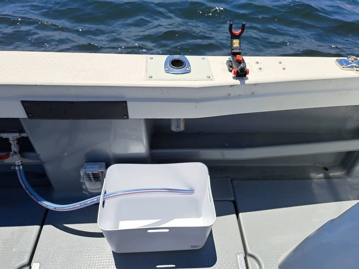 白龍 4枚目の画像