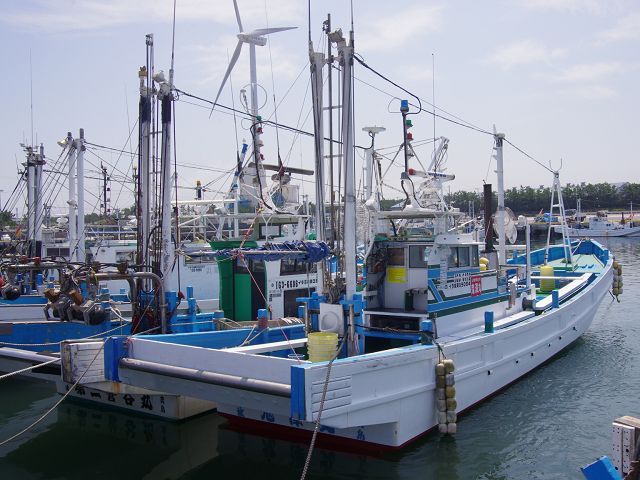 えありー様　予約分　魚沼新 神津島観光協会-かんむりん on X: 