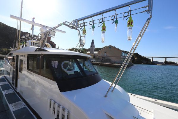 鯱 3枚目の画像