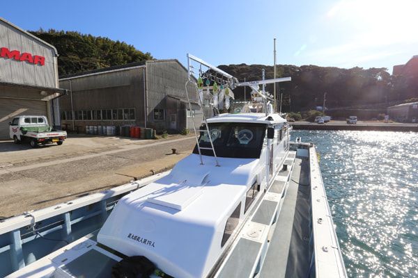 鯱 2枚目の画像