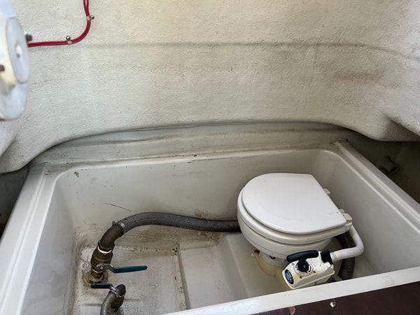 淡輪漁港 恵比寿丸 5枚目の画像