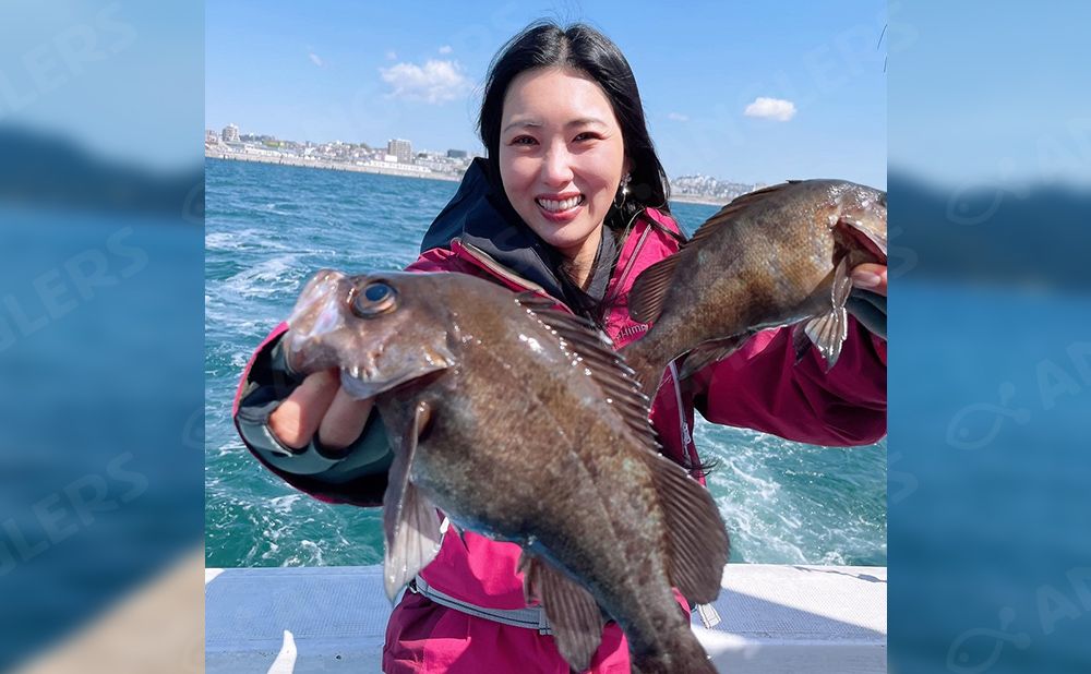 【土日祝】メバル・カサゴ釣りプラン