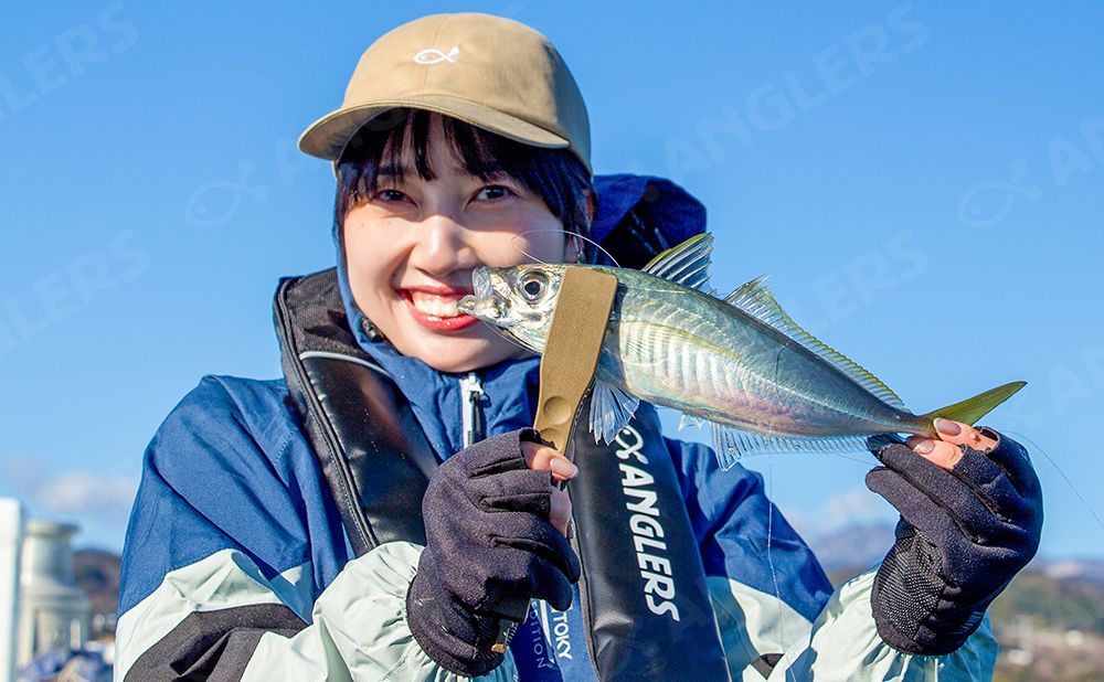 初心者大歓迎！アジ釣りプラン