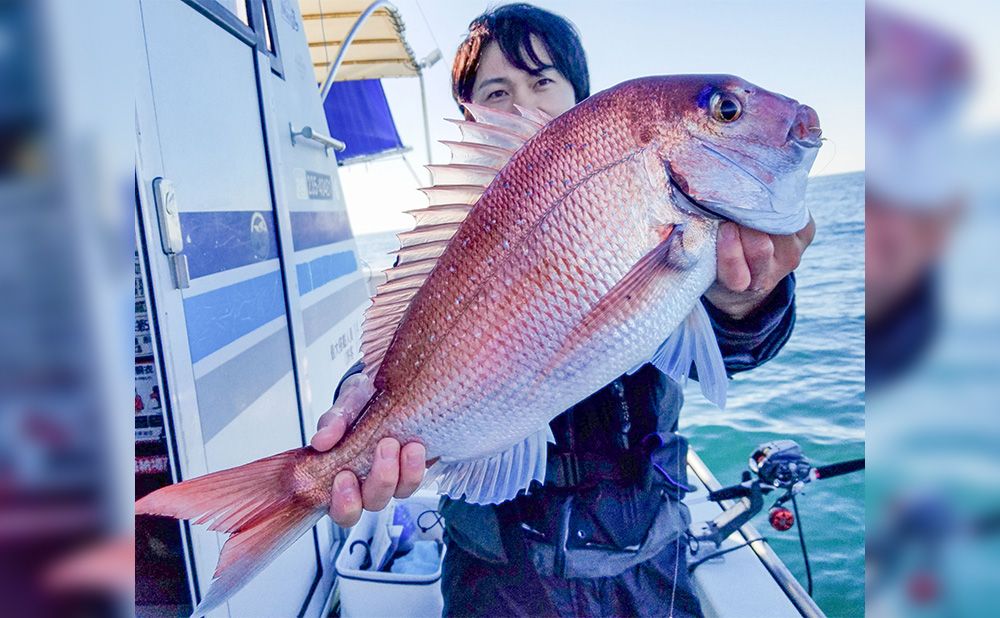 マダイ釣りプラン