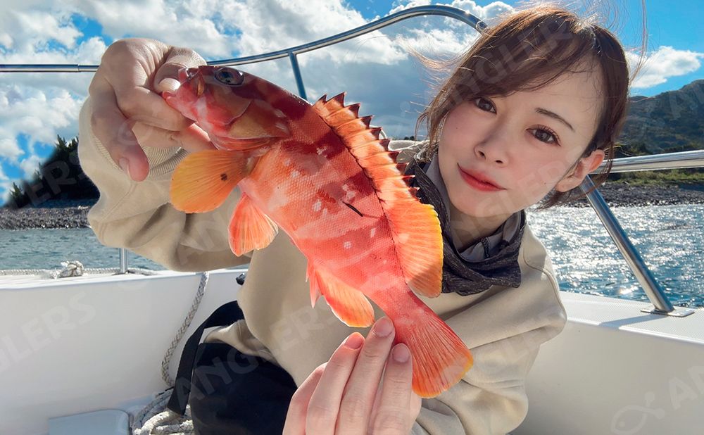 【乗合】気軽に狙う根魚　アカハタ・カサゴ釣りプラン