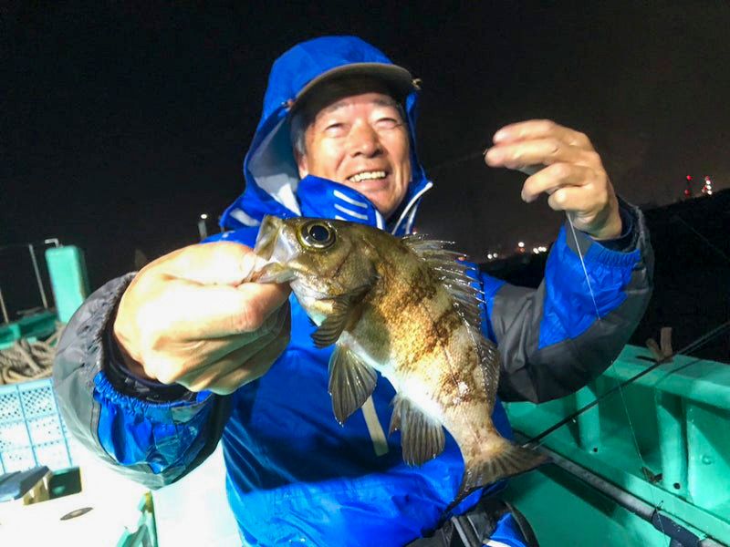 《土日祝仕立て》夜メバル＆カサゴ船