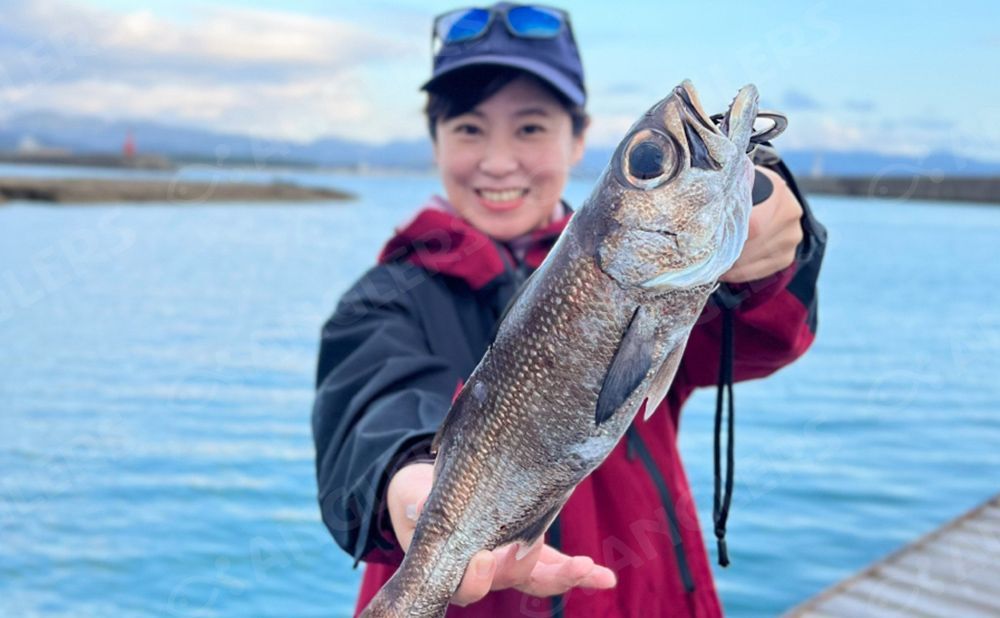 【夜釣行】駿河湾ならでは　浅場クロムツ釣りプラン