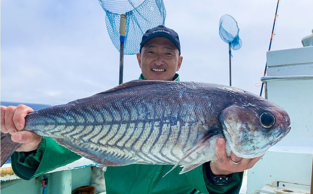 【遠征】メダイ釣りプラン