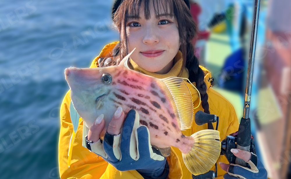 近海カワハギ釣り