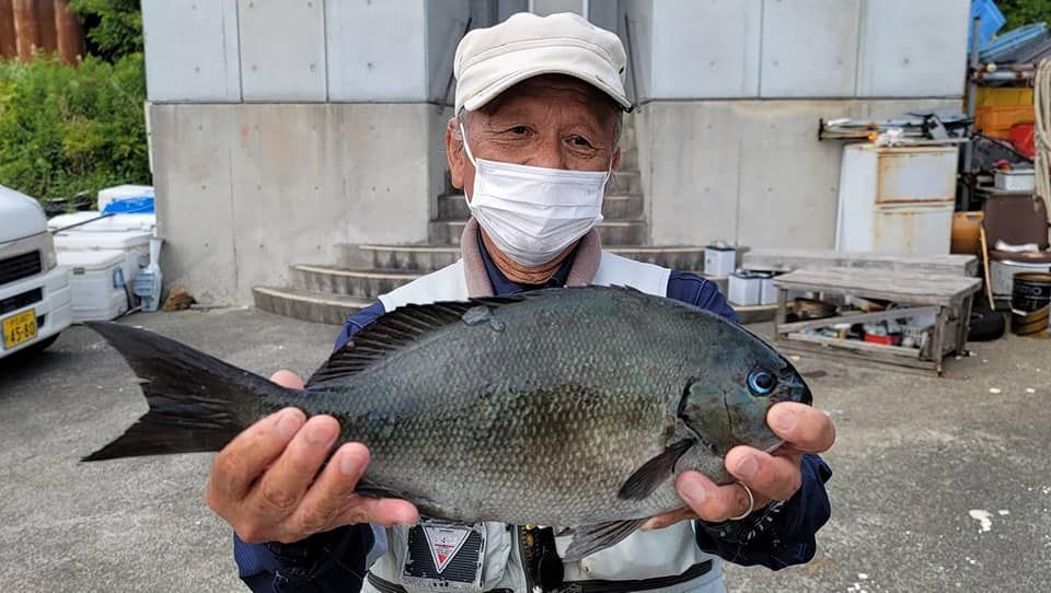 【寒グレシーズンにおすすめ】赤島、黒島　渡船プラン