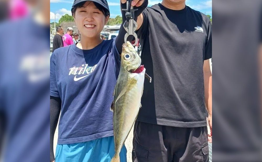 アジ釣り　仕立て（貸切）　そのまま泳がせ釣りリレーも可能！