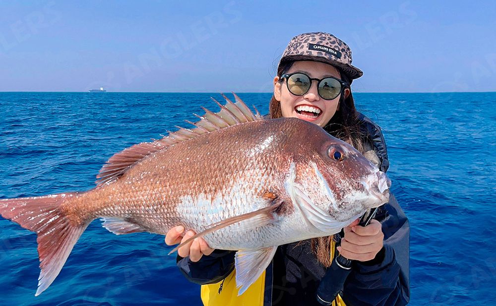 【釣具レンタル付き】乗合　マダイ ひとつテンヤ釣りプラン