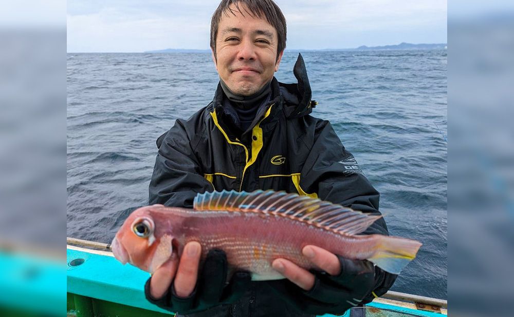 【午前】アマダイ五目釣りプラン