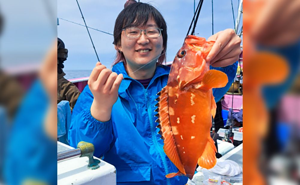 ルアーで狙う高級魚　ロックフィッシュ（ハタ狙い）プラン