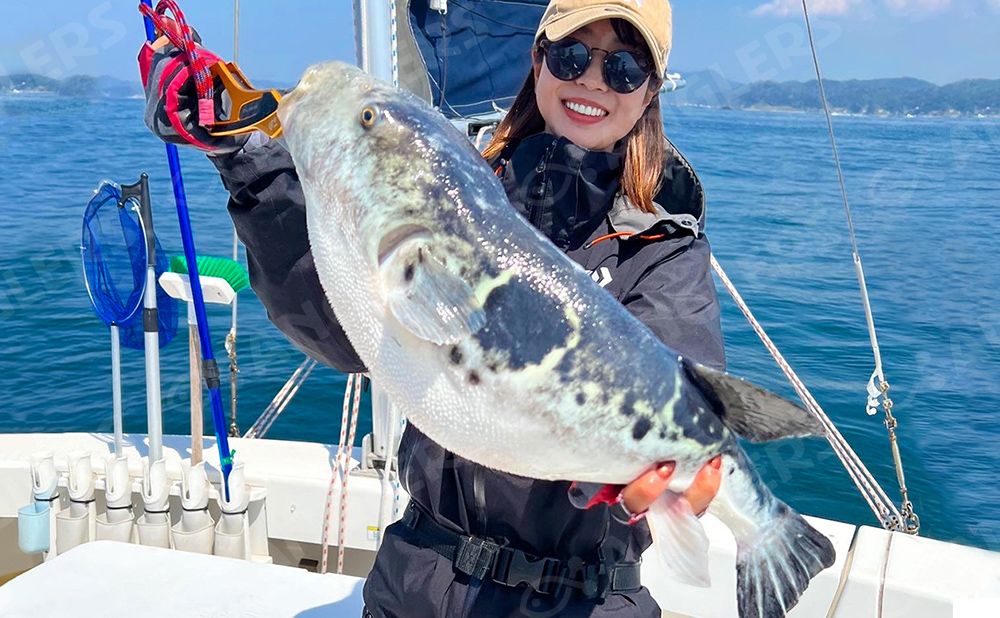 【平日仕立て】釣りと温泉宴会パック フグ（トラフグ、ショウサイフグ、ヒガンフグ）