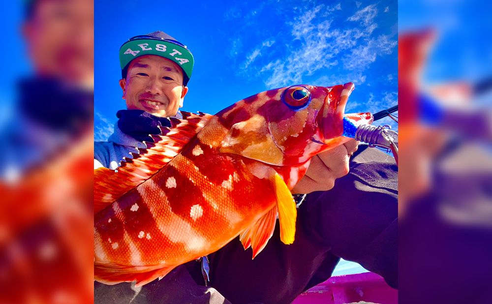 青物・ハタ・ヒラメ　活きエサ（イワシ）泳がせ釣り