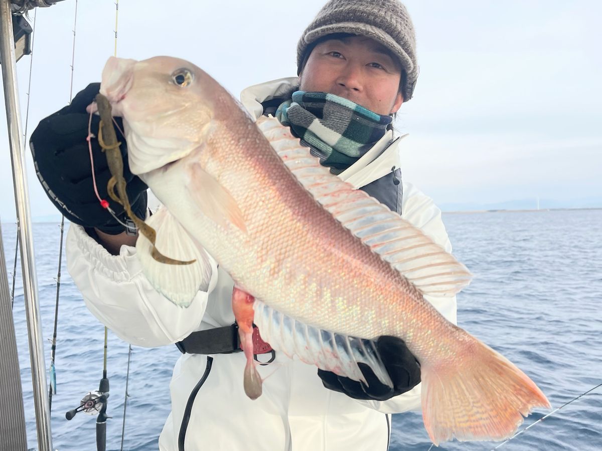 アマダイ〜太刀魚　リレー便