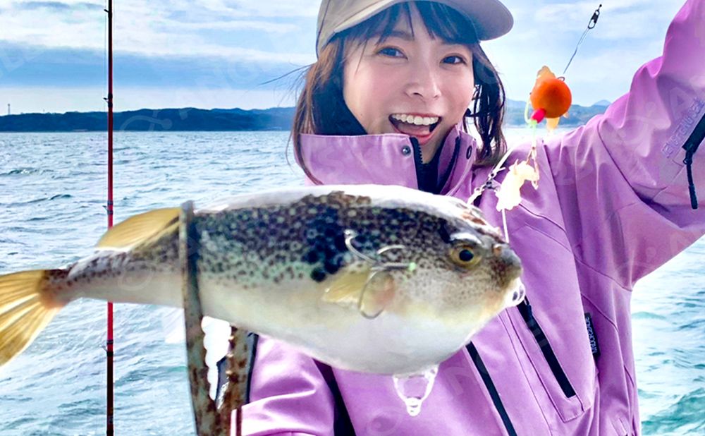 【午前】釣って楽しい、食べて美味しいフグ釣りプラン！