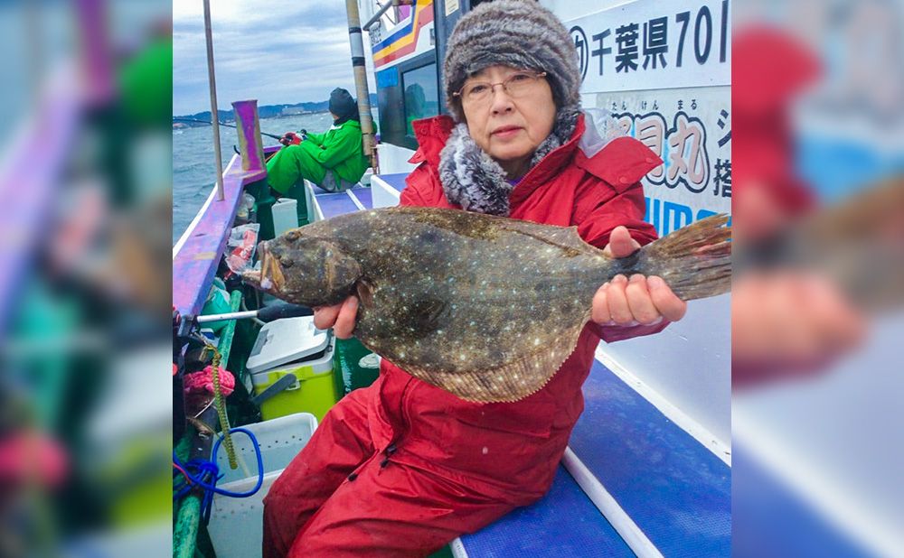 【午前】活イワシの泳がせで狙うマハタ・ヒラメ釣りプラン！