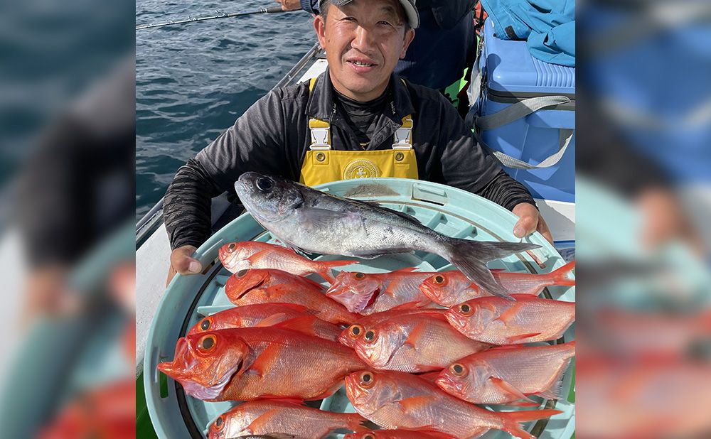 中深海、根魚プラン