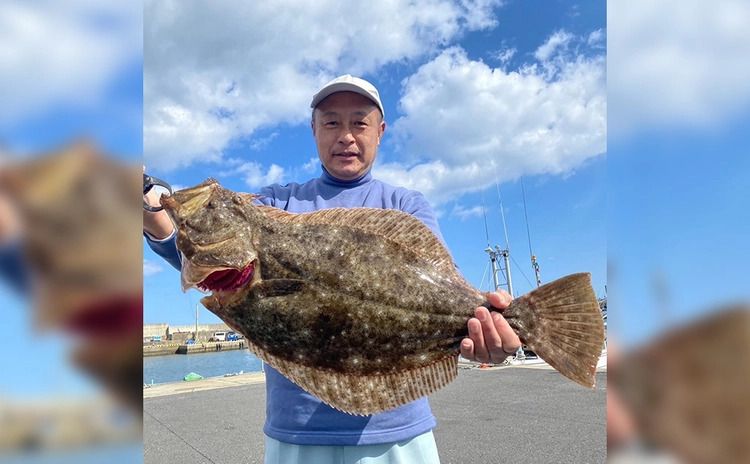 イワシ泳がせで狙う！乗合ヒラメプラン