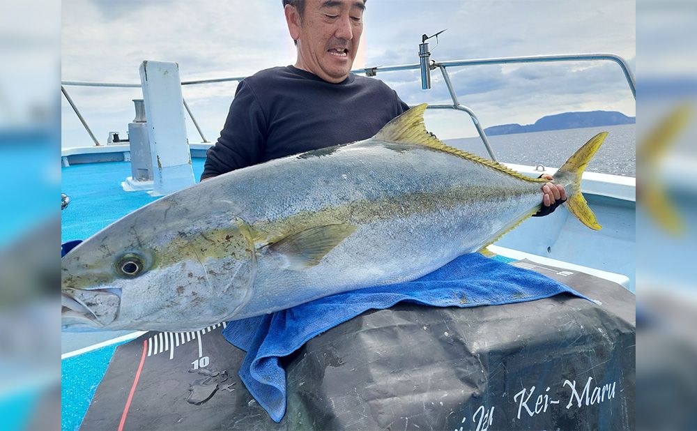 神子元周辺ルアーフィッシングプラン