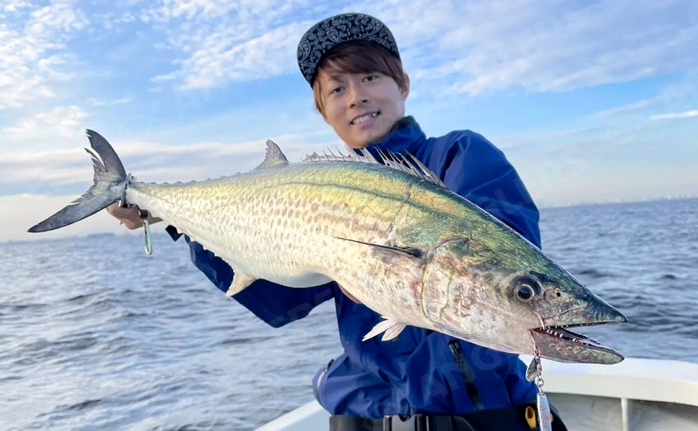 東京湾サワラ特集】2025年最新版！エリア別おすすめ釣船ガイド